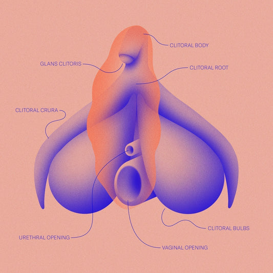 Why Everyone’s So Afraid of the Clitoris?